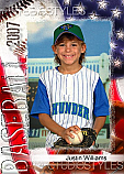 Baseball Pro Wallet