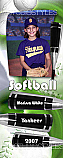 Softball Locker Poster