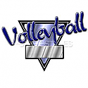 Legacy Sports Logo-Volleyball