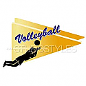 Legacy Sports Logo-Volleyball