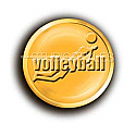 Legacy Sports Logo-Volleyball 