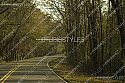 PhotoReal Background