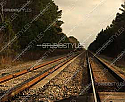 PhotoReal Background  