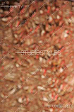 Textured Background