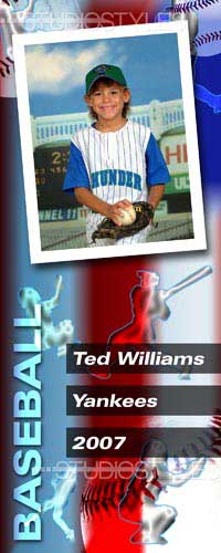 Baseball Locker Poster 