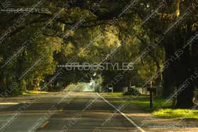 PhotoReal Background  