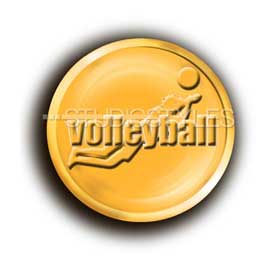 Legacy Sports Logo-Volleyball 