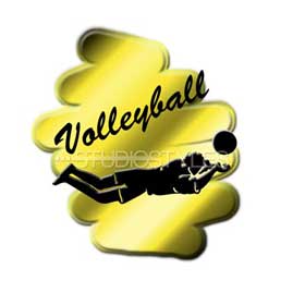 Legacy Sports Logo-Volleyball