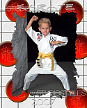 Karate Poster