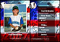 Baseball Trading Card 