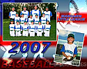 Baseball Designer Memory Mate