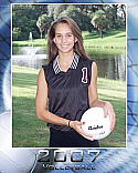 Volleyball Poster