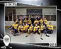 Hockey Team Graphic