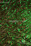 Textured Background