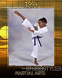 Karate Poster 